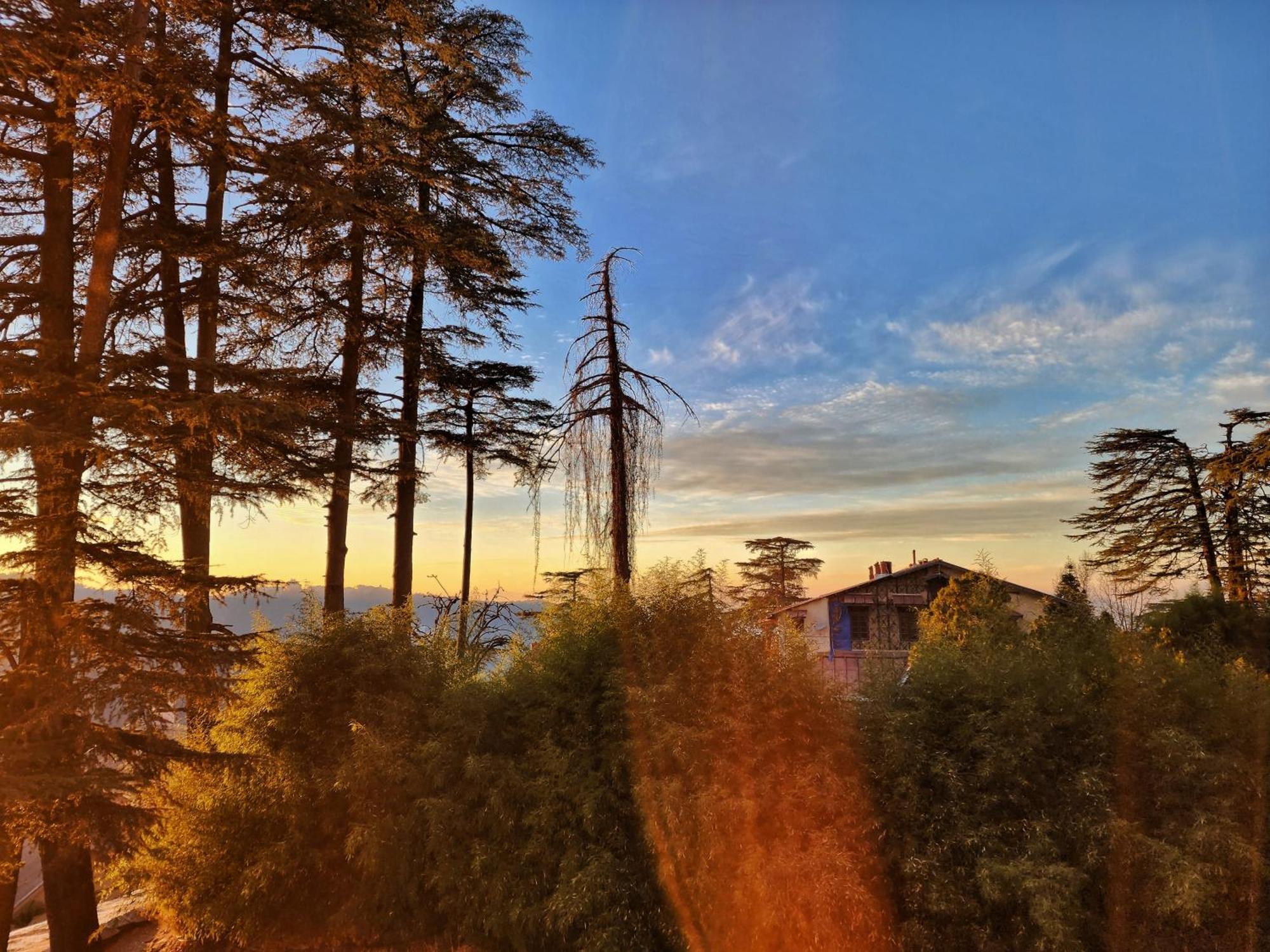 Hotel Pineview 西姆拉 外观 照片