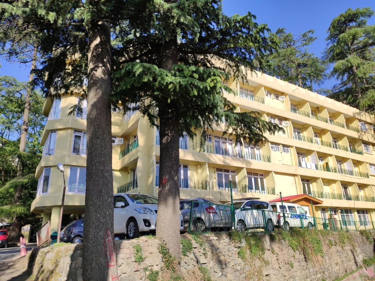 Hotel Pineview 西姆拉 外观 照片